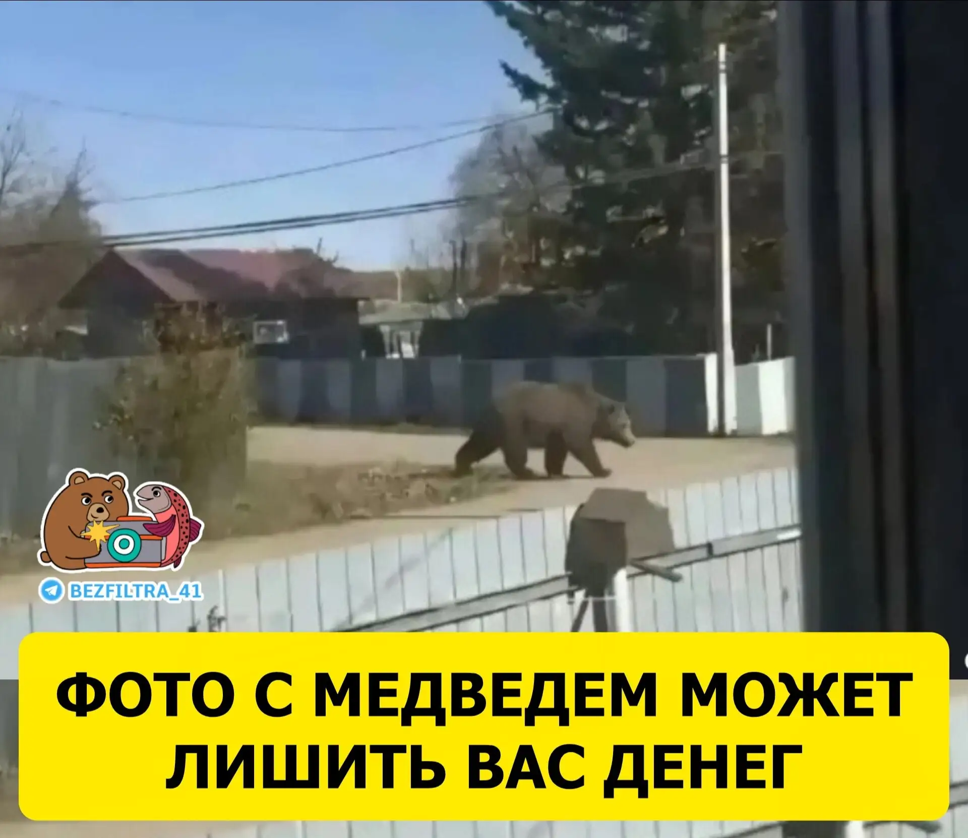 На Камчатке уже были случаи, когда фейковые фото с медведями попадали в сеть, но, наско...