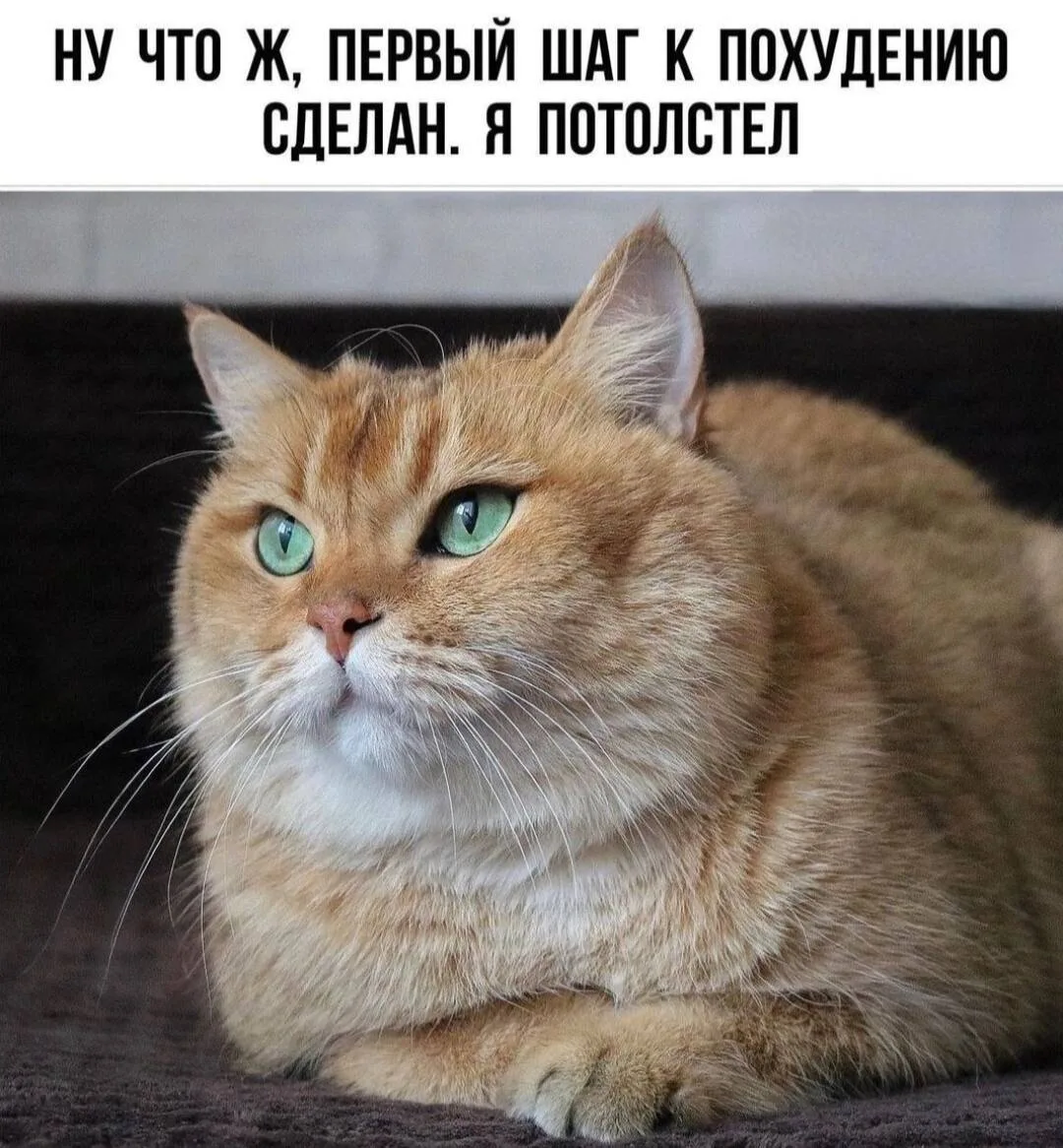 🍱 Бактерии в кишечнике уменьшают количество усваиваемых калорий