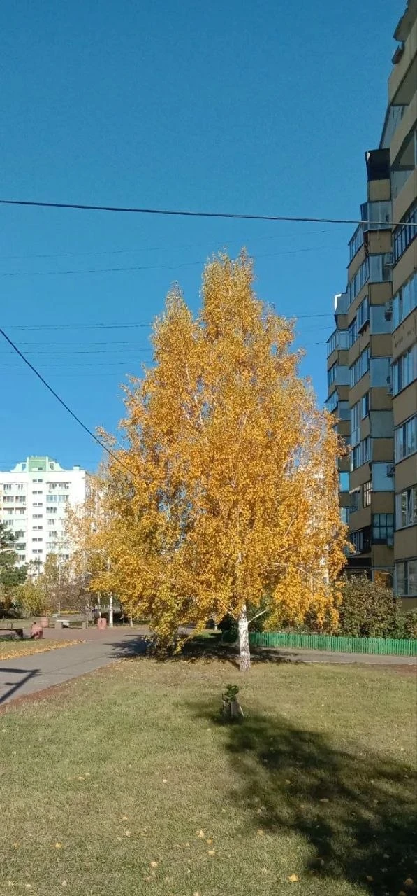 Доброе утро, омичи 😮‍💨