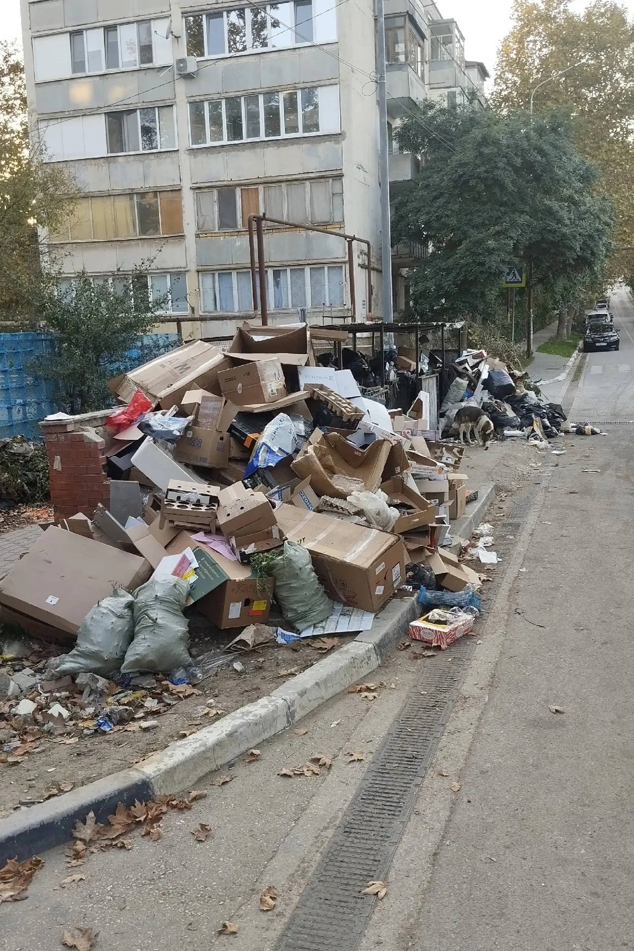 Снова свалка на Серафимовича 30, за Лидером...