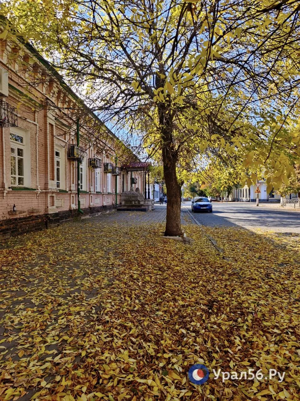 Солнечное воскресение в Оренбурге💛