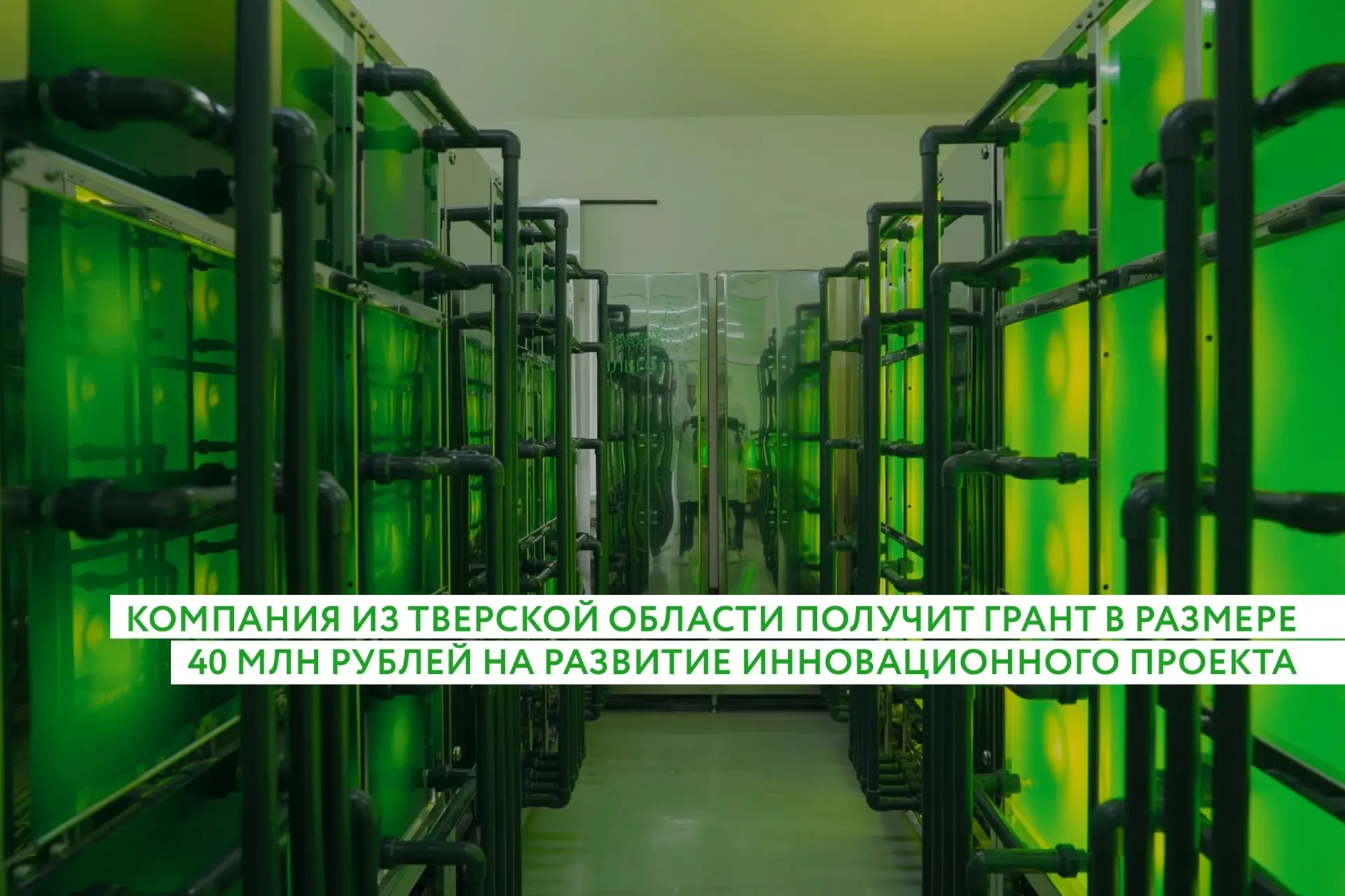 🧪 Тверская компания получит грант на биотехнологический проект