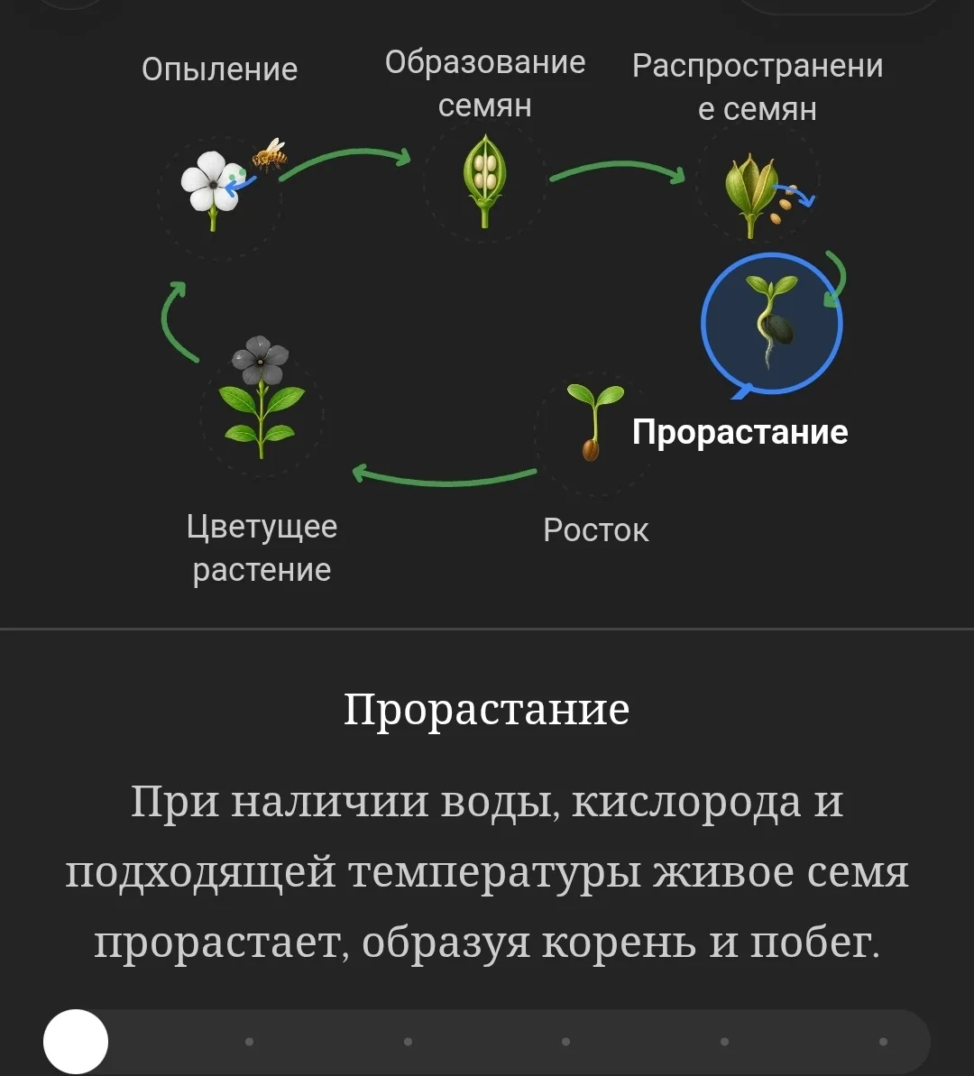 🌿 ЗАПИСКИ БОТАНИКА