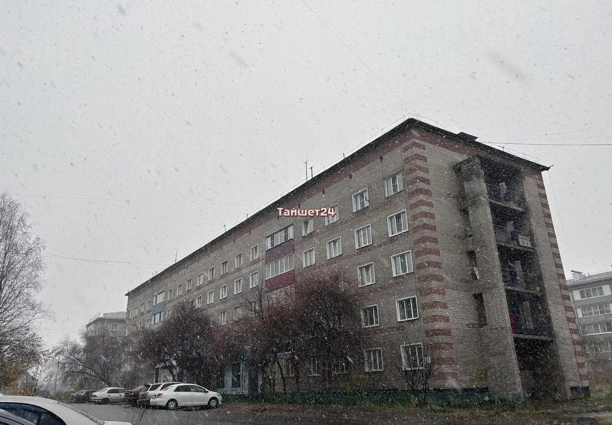❄️❄️❄️ Вот и обещанный на сегодня снег...