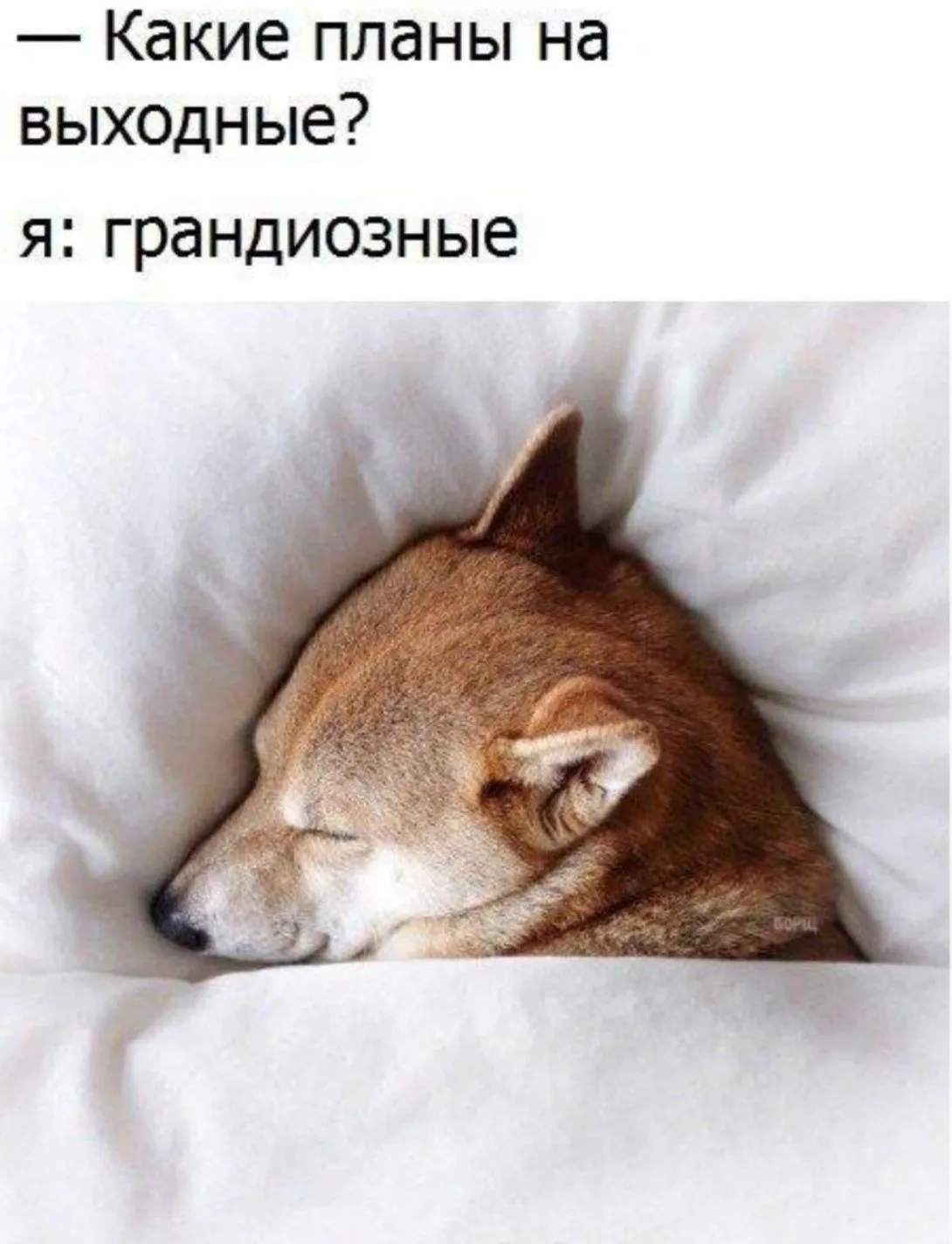 Пятница! ☀️