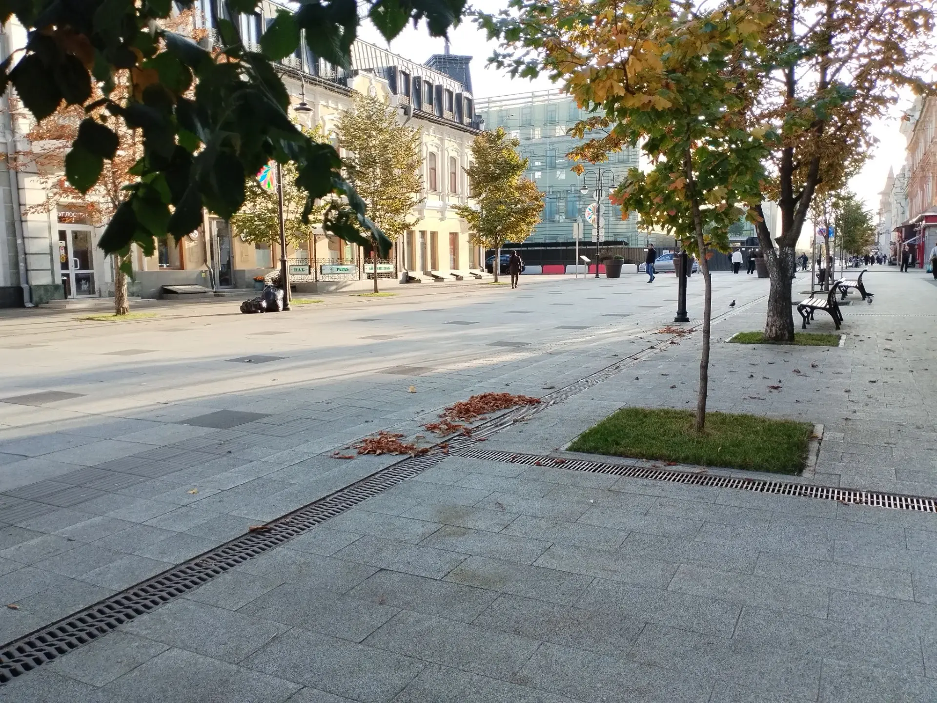 Саратов. Золотая осень. Моменты. 🍂