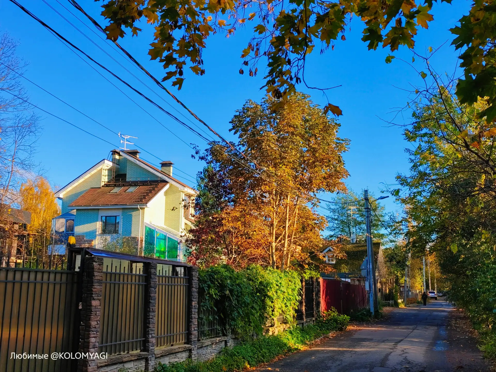 Солнечная осенняя прогулка по 1-й Полевой улице 🏡