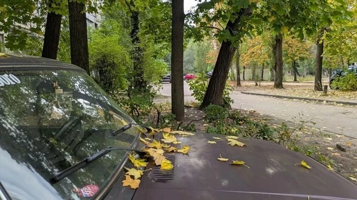 В Воронеже в четверг ожидается дождливая и прохладная погода