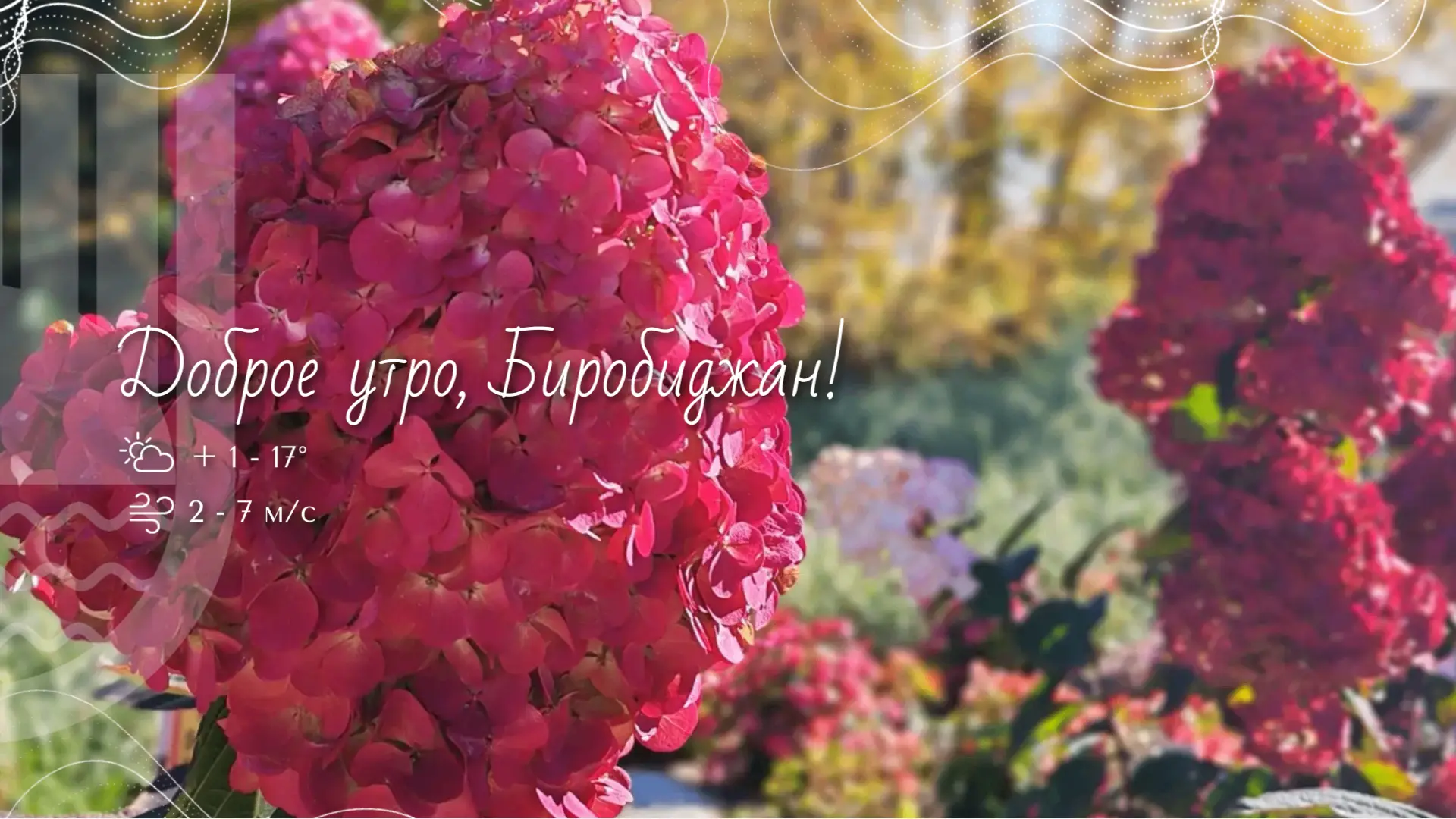🎉 Шалом, Биробиджан!