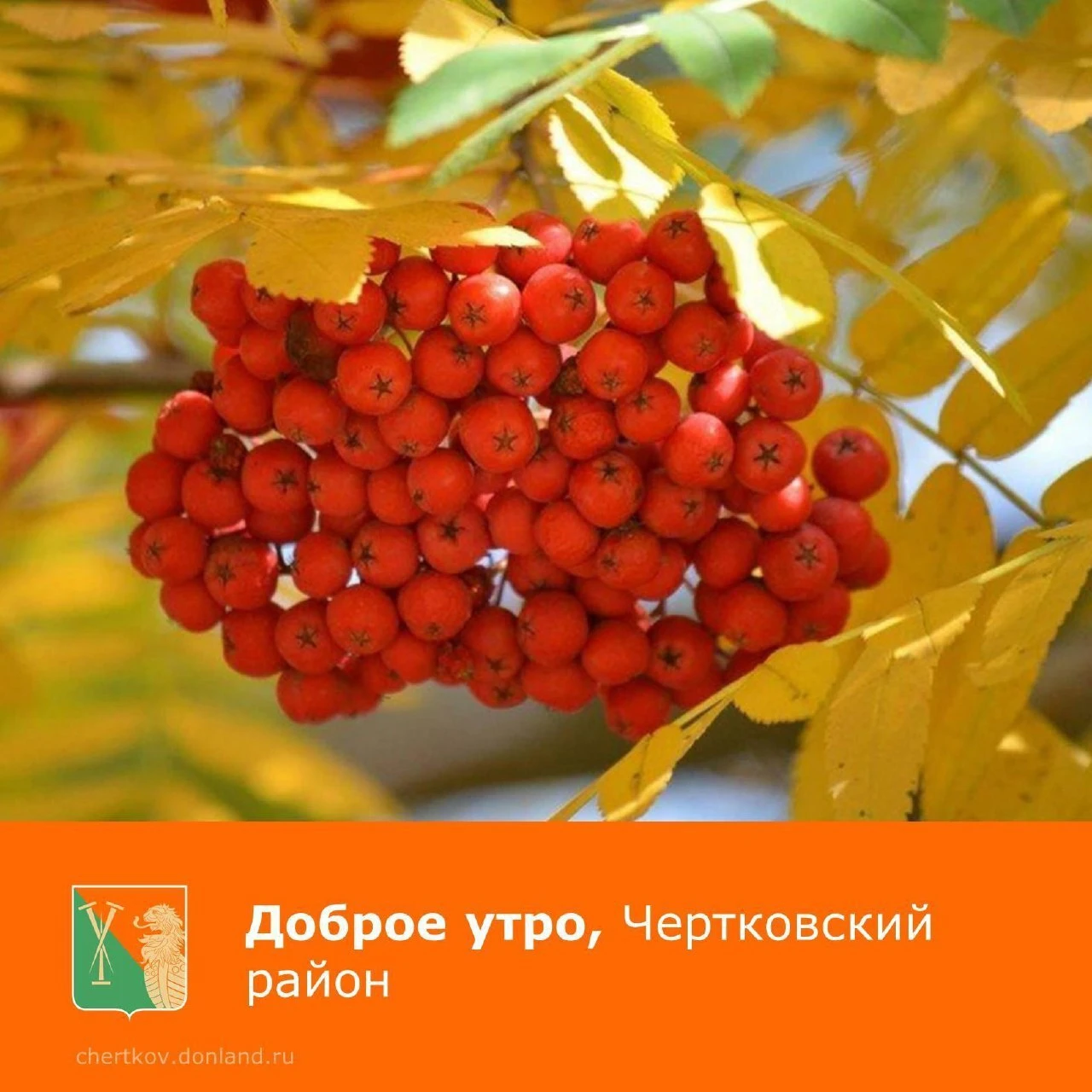 Пусть сегодняшний день будет наполнен только хорошими событиями.