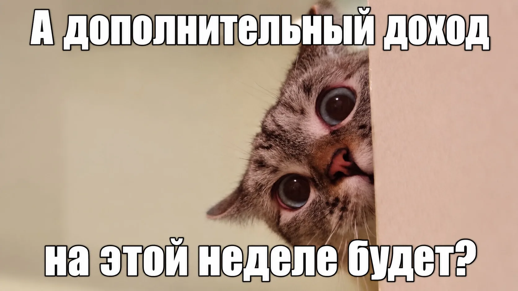 Экономить дальше или начать больше зарабатывать? Проверю на 1 000 ₽ 😁