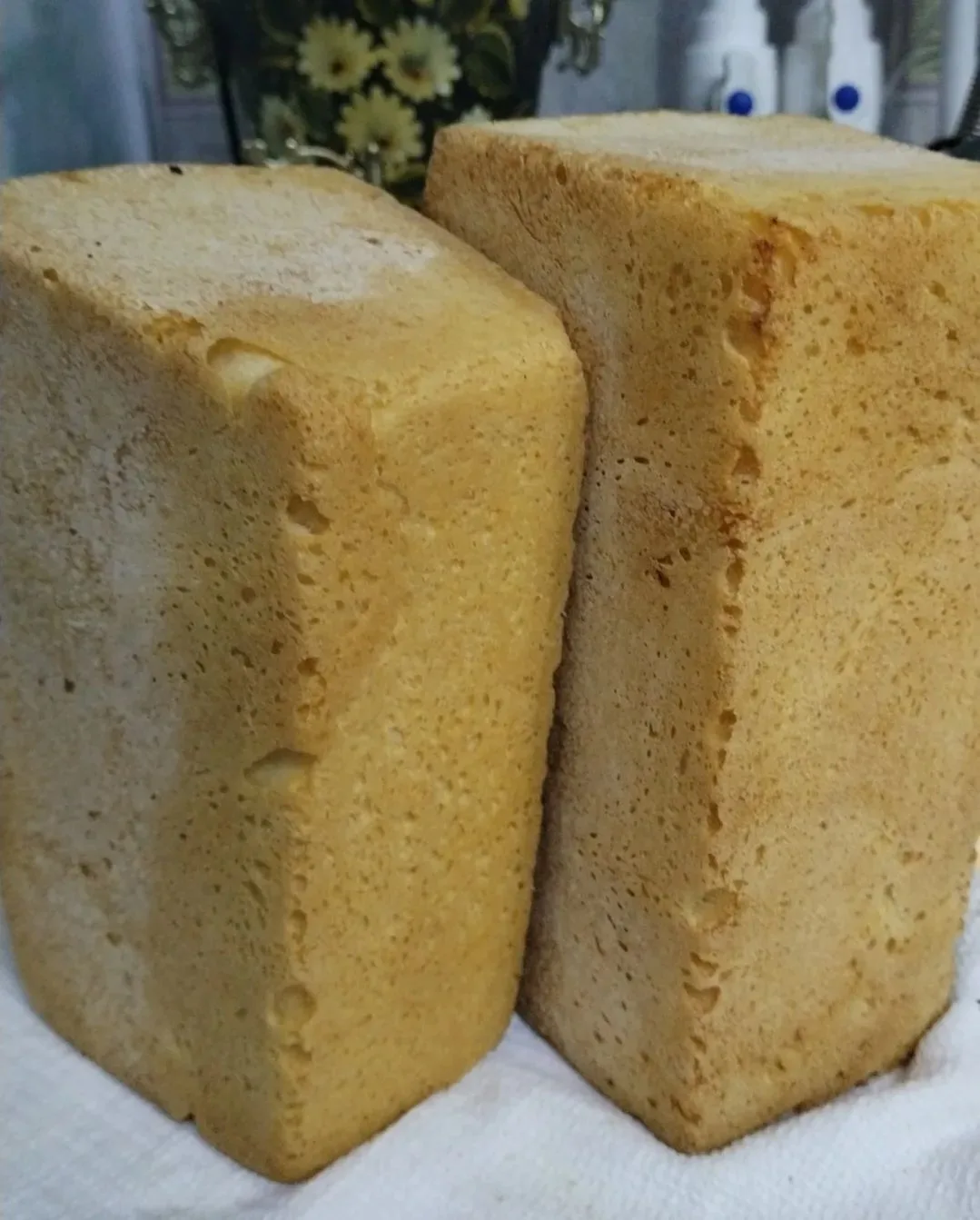 🍞🥖 Бөгөн - Халыҡ-ара икмәк көнө.