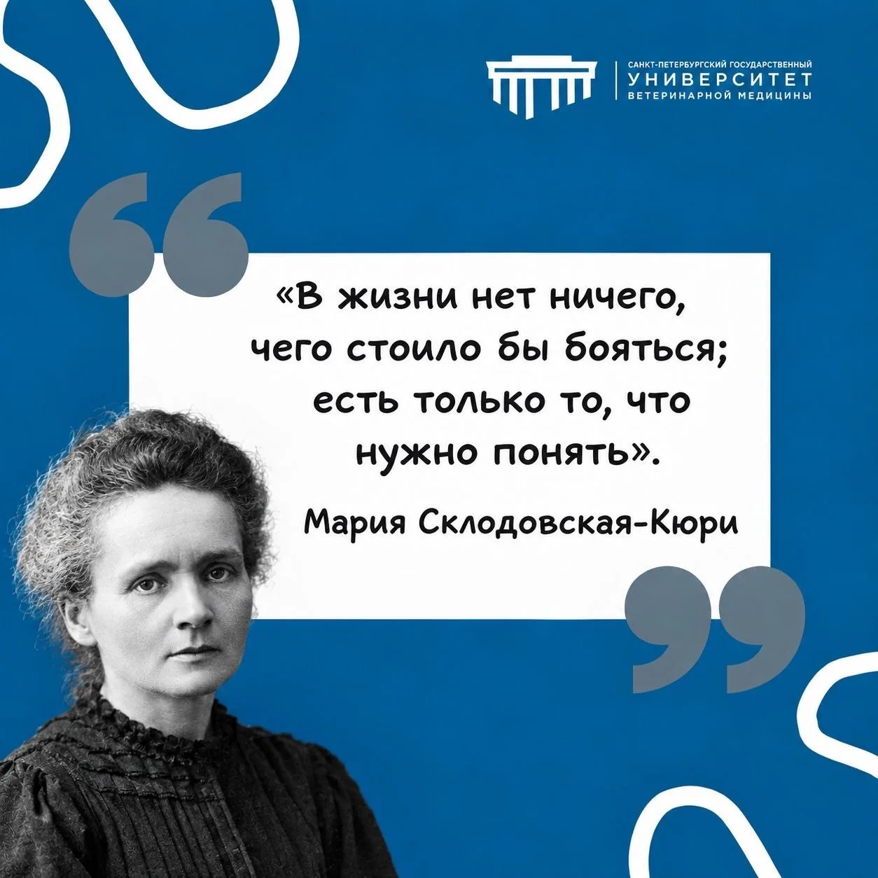 #фразадня #СПбГУВМ