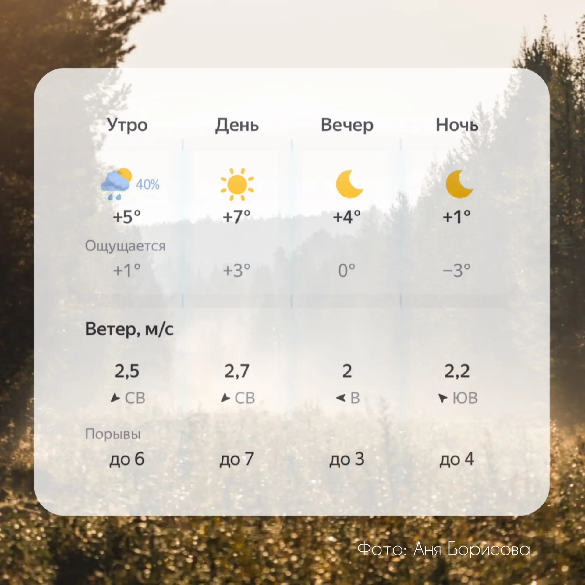 ☀️ Доброе утро, Тюмень!