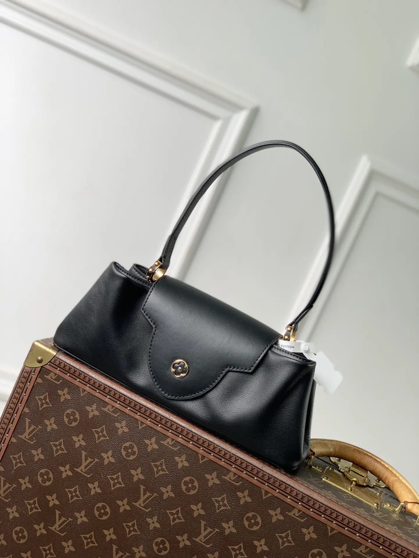 Сумка Louis Vuitton