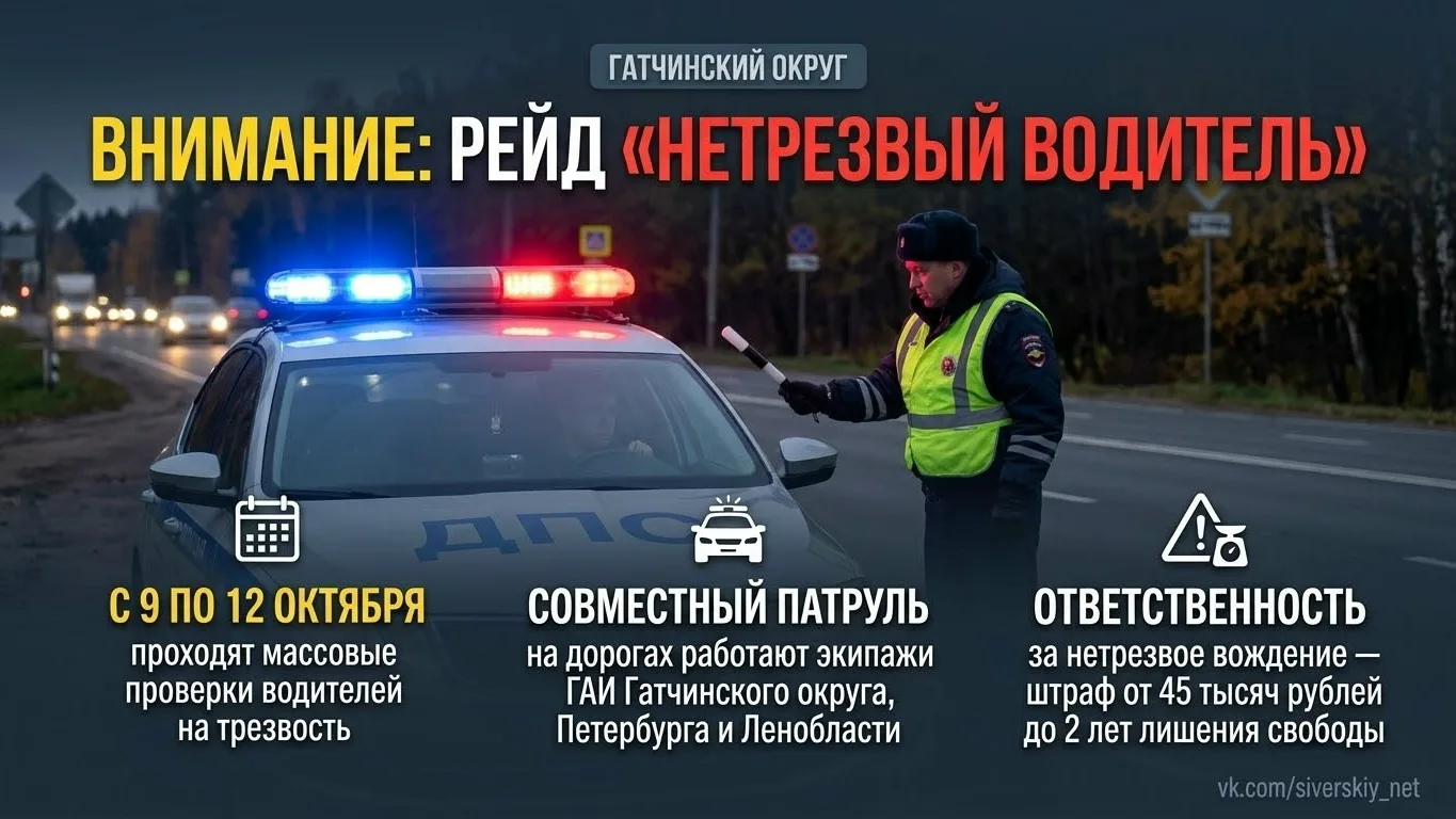 В Гатчинском округе проходит профилактический рейд «Нетрезвый водитель».