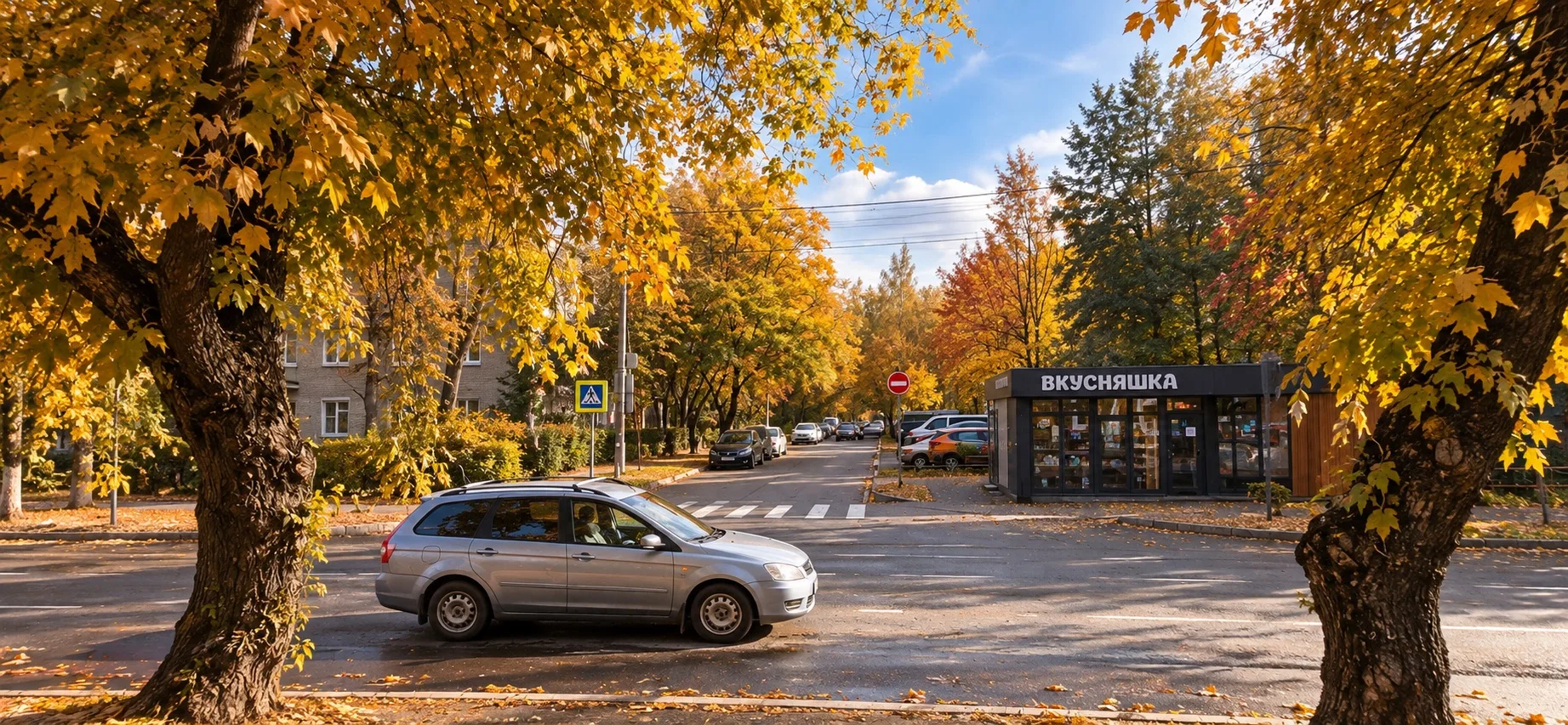 🍂 В Пушкино ожидается потепление до +16°C