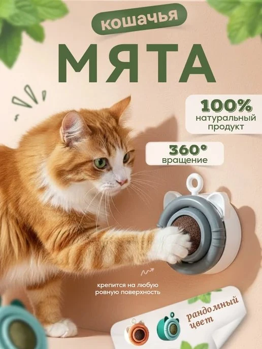 🔥 ЦЕНА РУХНУЛА НА 92%!