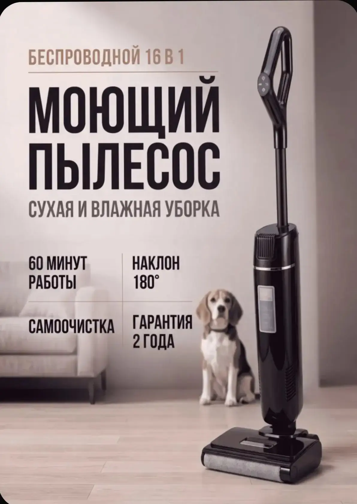 От подписчика Анечка Попова