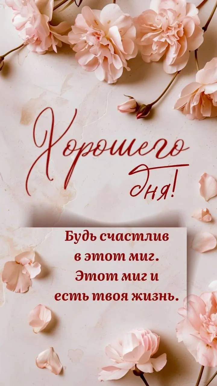 #ХорошегоДня ☺️