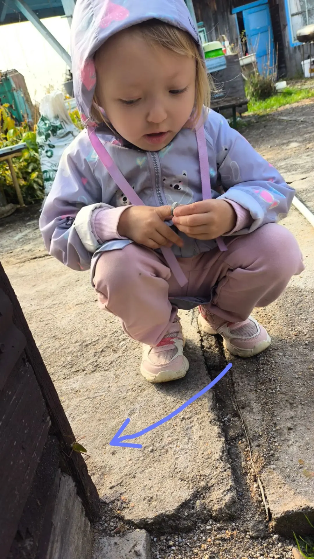 Как много интересного можно увидеть на природе!