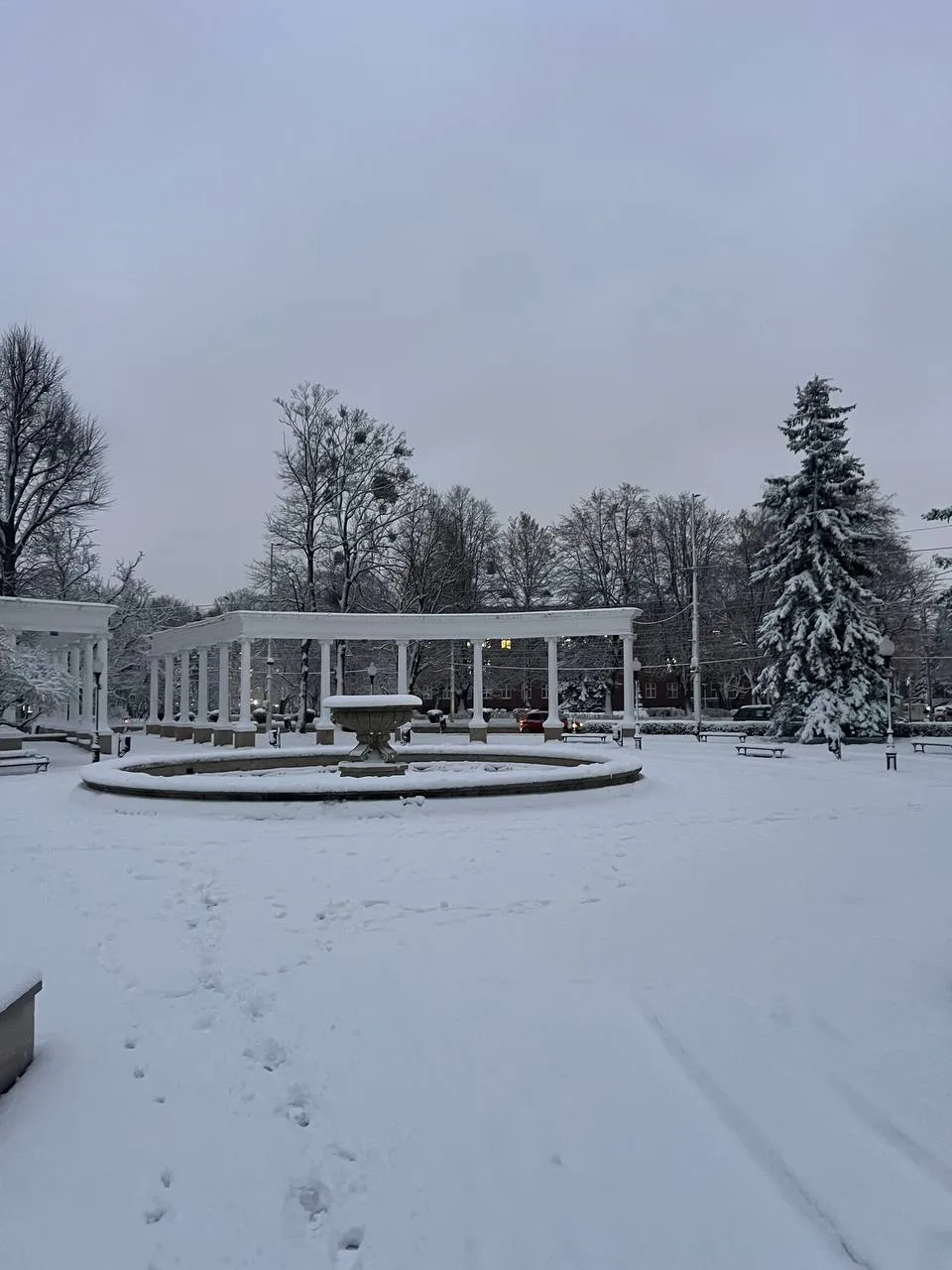 ❄️👎 Прорывы арктического воздуха и сильные морозы