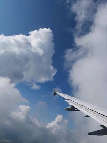 В аэропорту Рощино (Тюмень) временно приостановили приём и выпуск самолётов — об этом с...