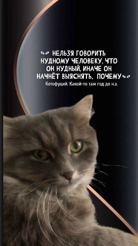 КОРОМЫСЛО