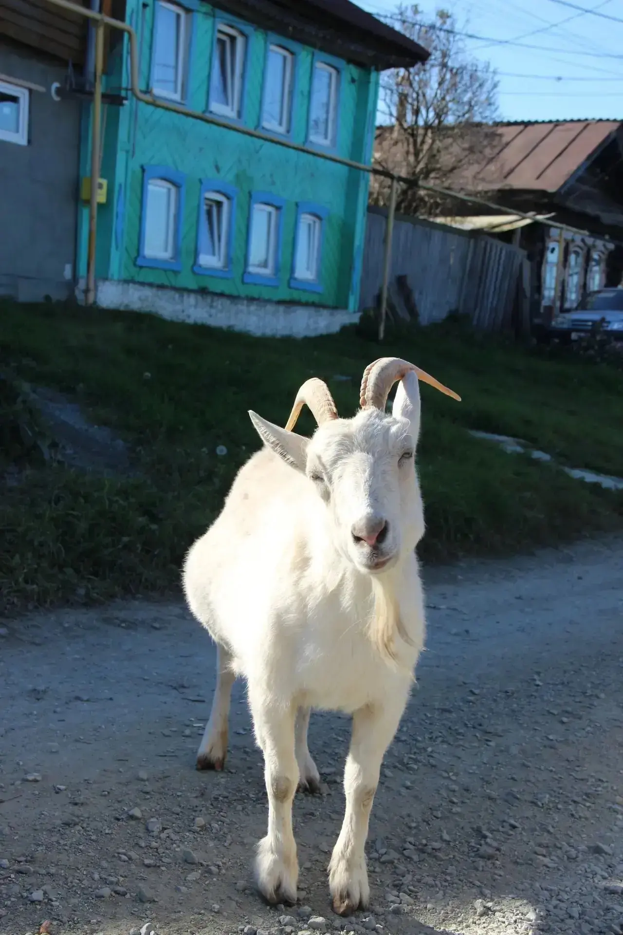 Доброе утро, Ревда!