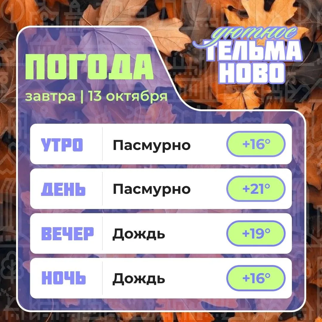 Ваш гид по погоде на завтра🌡