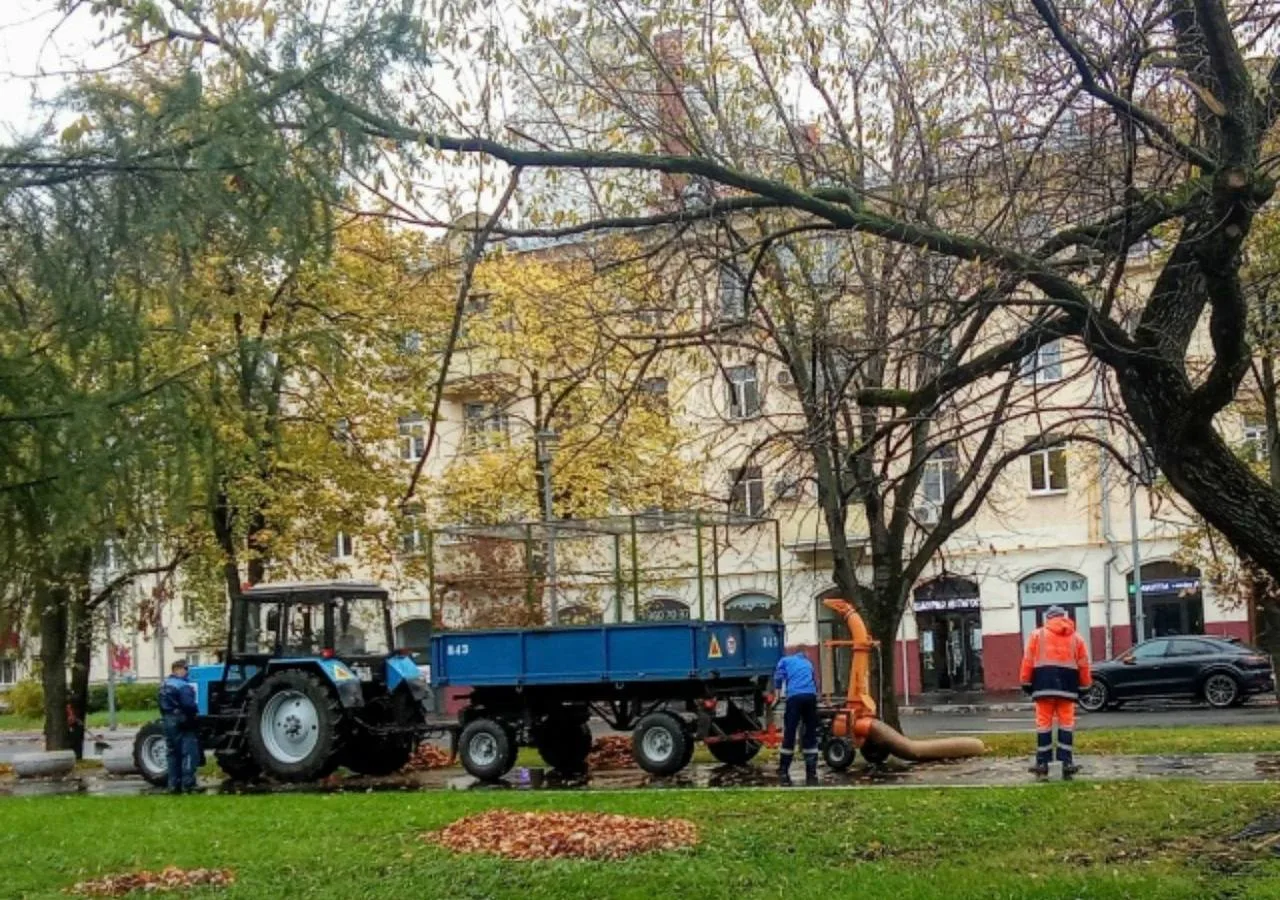 🍂 На Новочерёмушкинской необычно собирают листву