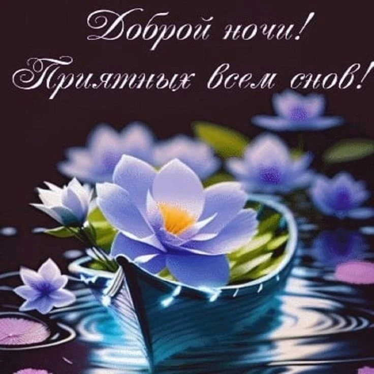 💜🩵🌸💜🩵🌸💜🩵🌸