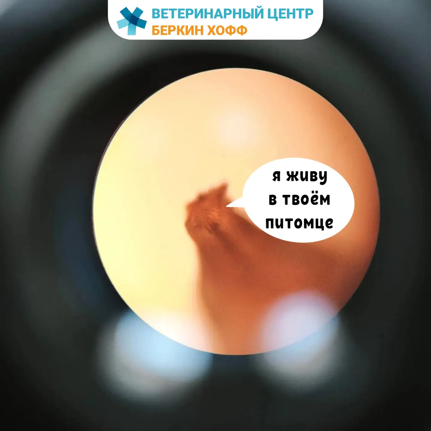 🔬 То, что не видно невооружённым глазом, может быть ближе, чем кажется!