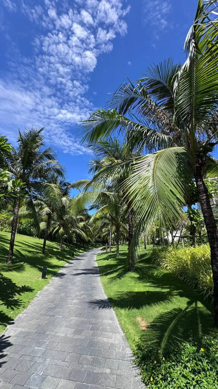 Вьетнам 5*: 🔥оффер на шикарный 🏆WESTIN 5* Камрань срочно запрыгивает к нам в ленту!
