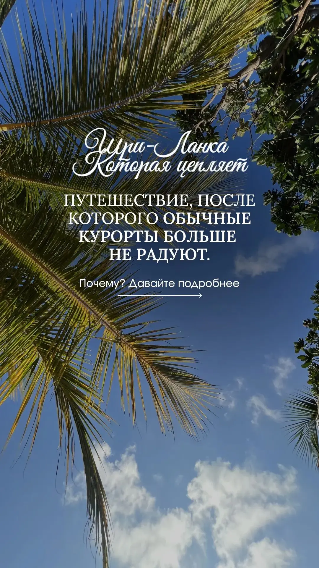 🌴 Шри-Ланка - одна из самых доступных тропических стран: райские пляжи, древние храмы,...