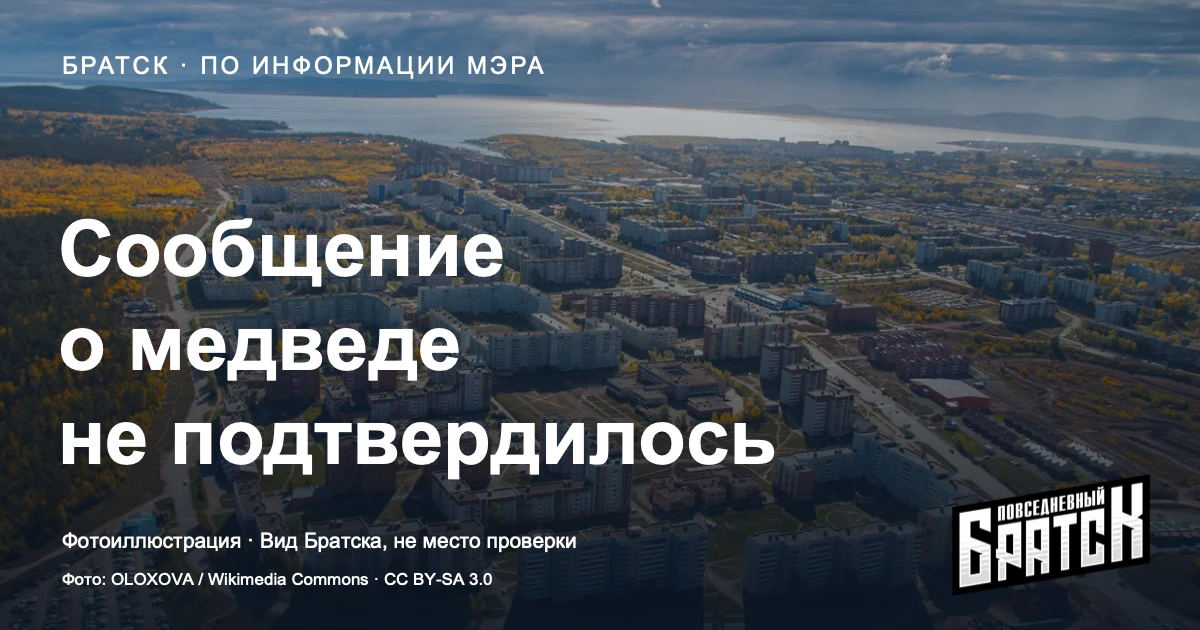 Мэр Братска: сообщение о медведе на Советской и Энгельса не подтвердилось