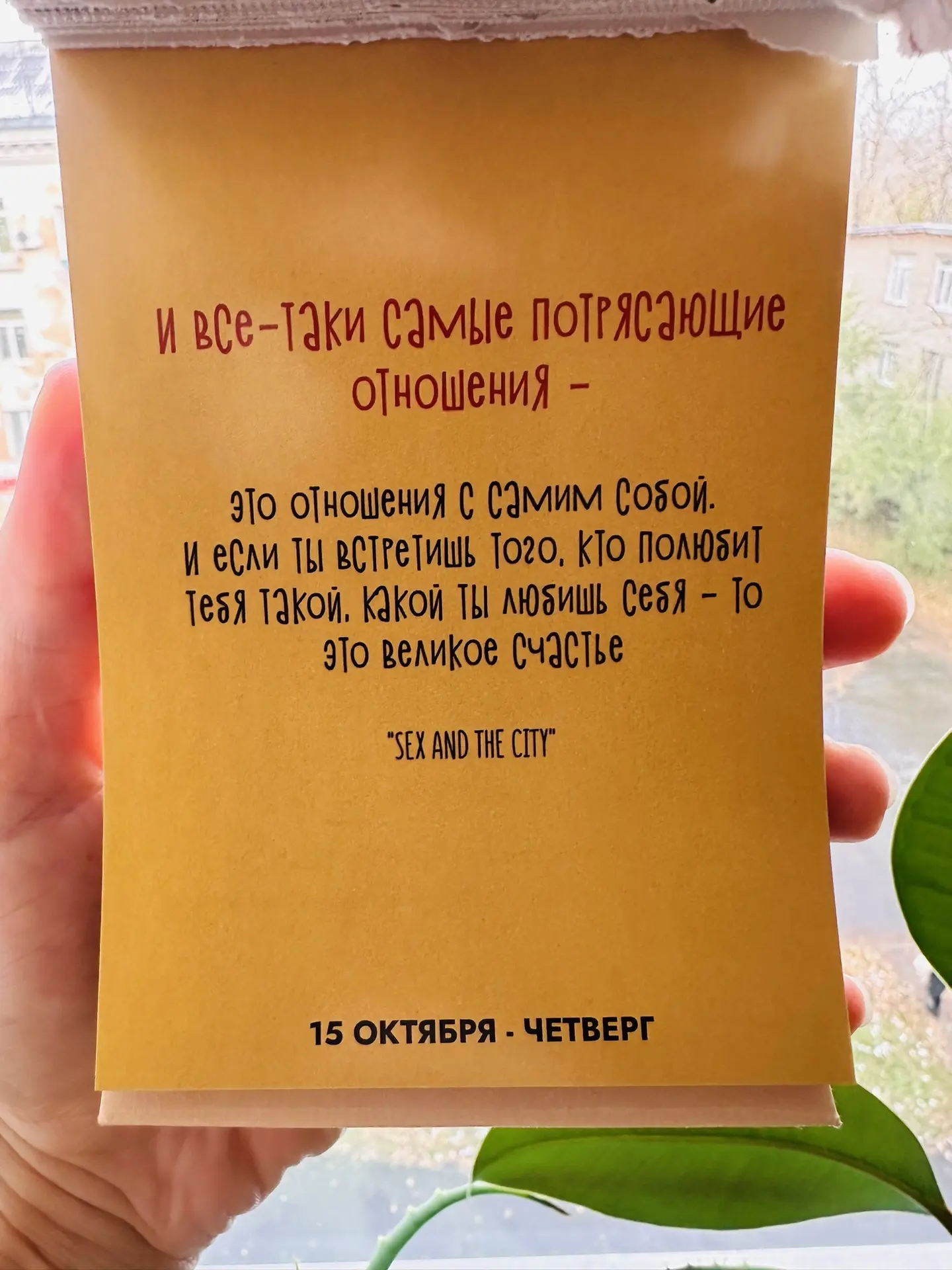 Доброго дня!☀️