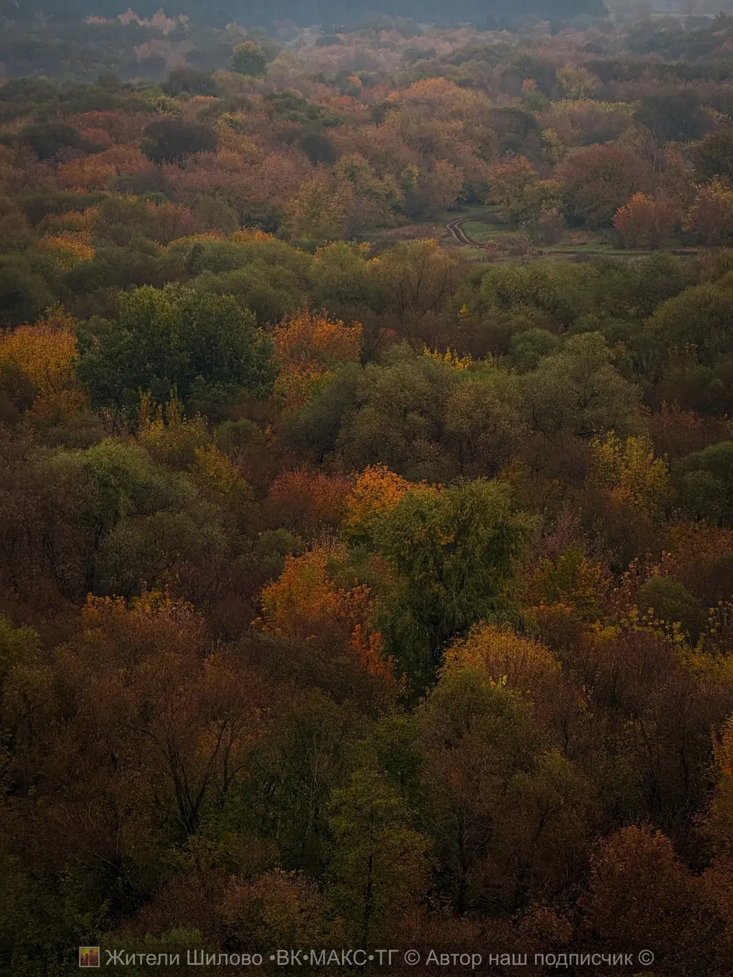 Вай какая красота в нашем Шиловском лесу открывается этой осенью😍