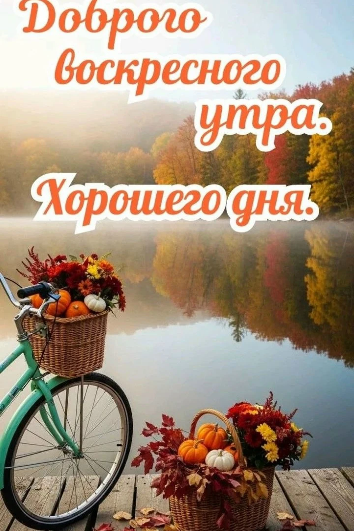 Немного тепла, красивых слов и вдохновения