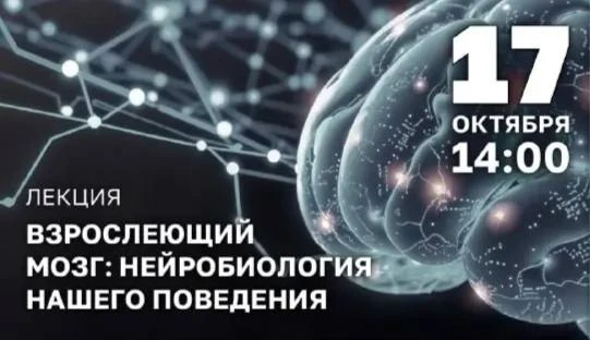 🎭 Лекция о развитии мозга в нашем районе