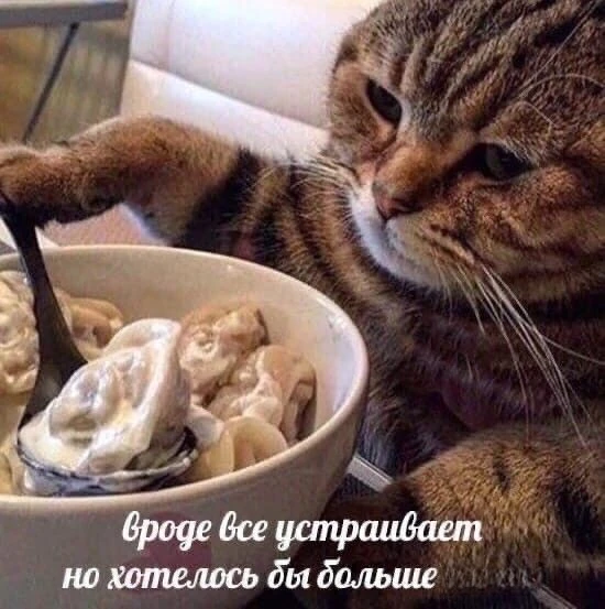 Средняя порция готовой еды в магазинах за год уменьшилась на 10 %