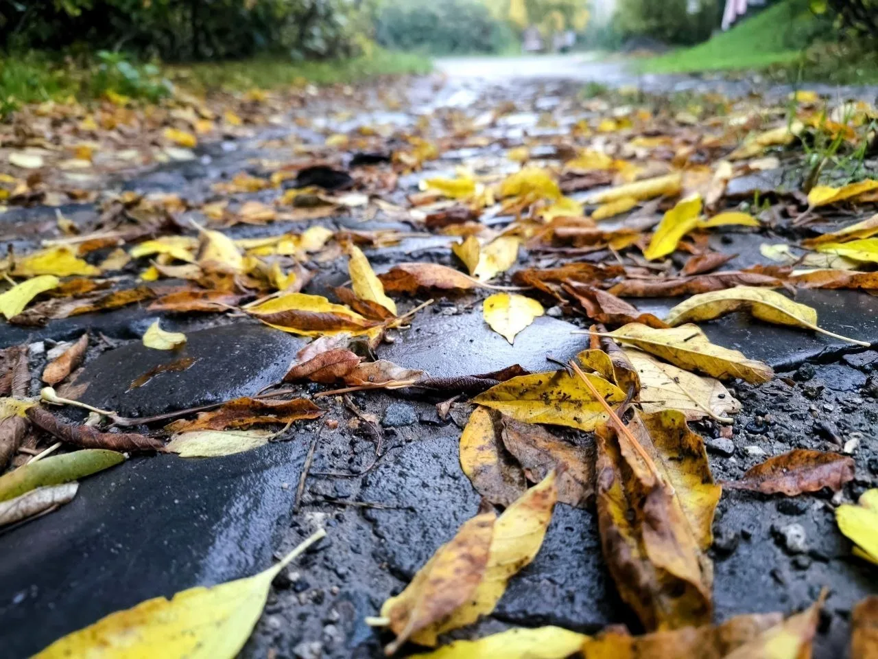 Пусть в ленте будет осеннее настроение 🍂❤️