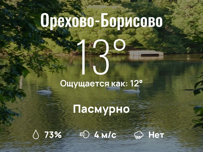 Что с погодой в Орехово-Борисово?