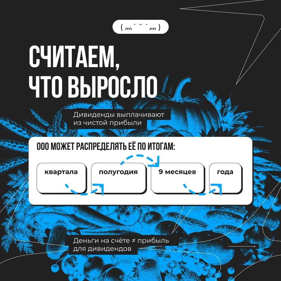🌾У каждого растущего бизнеса наступает время сбора урожая
