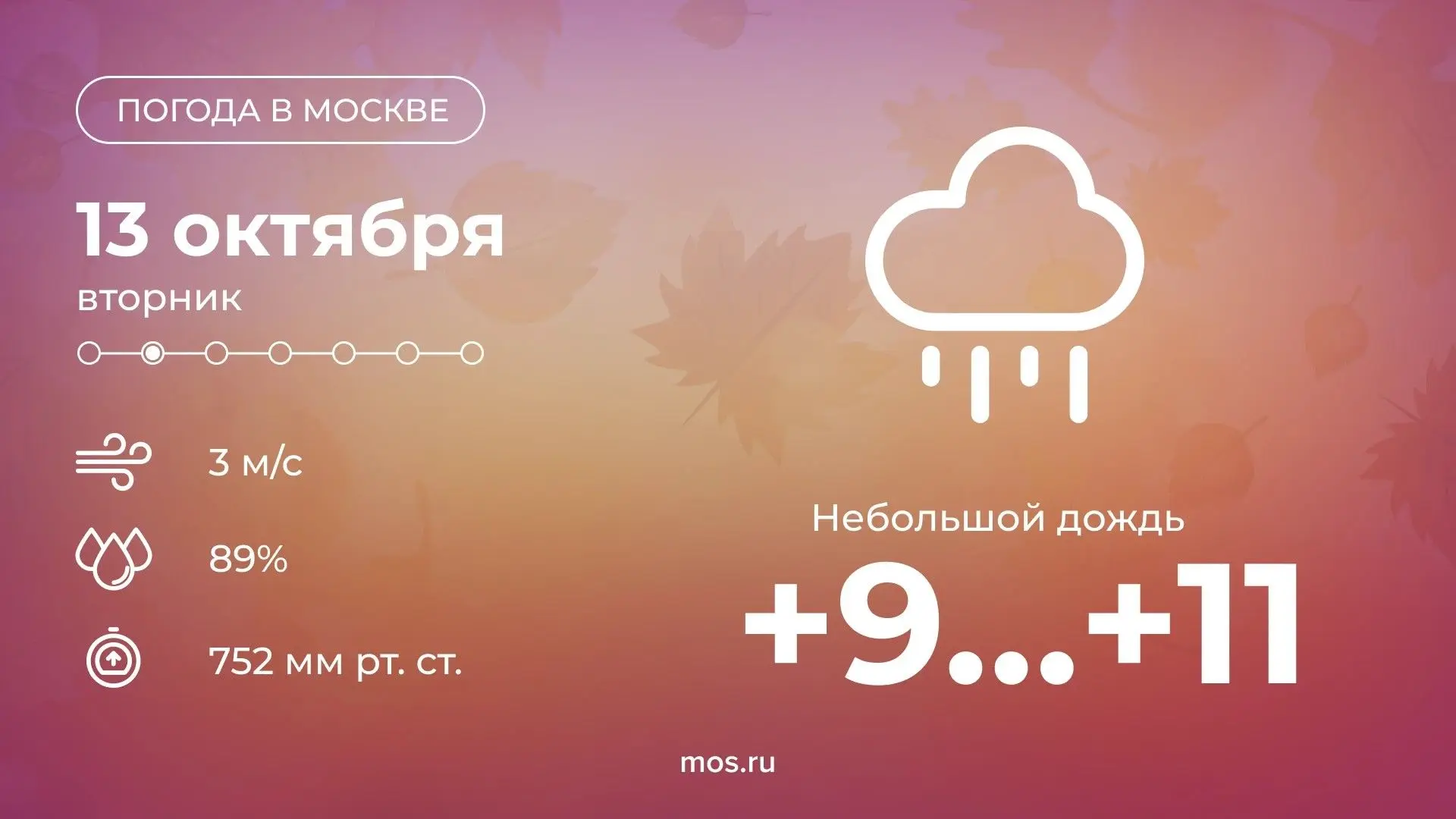 🌦️ Сегодня в Москве ожидается небольшой дождь. Температура воздуха поднимется до +11 °С.