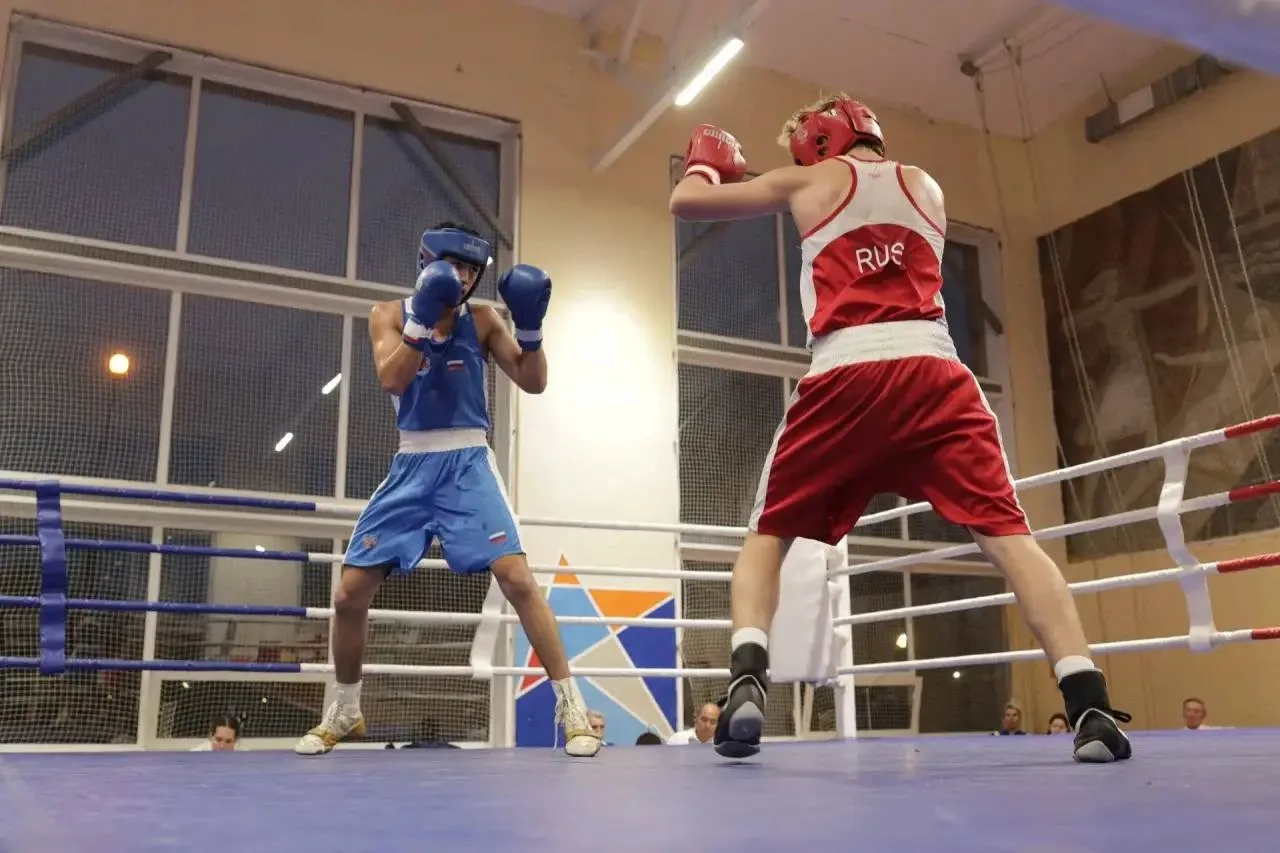 🥊 В Электростали прошел XIV Открытый кубок по боксу памяти основателя города Николая А...