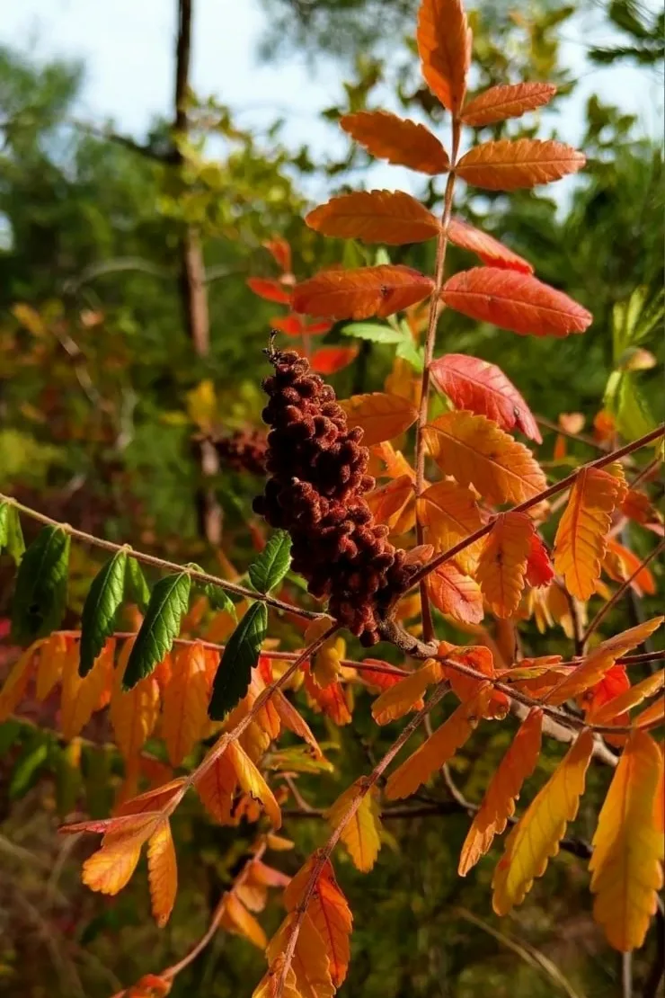 Голубая бездна вчера😊🖐🍁