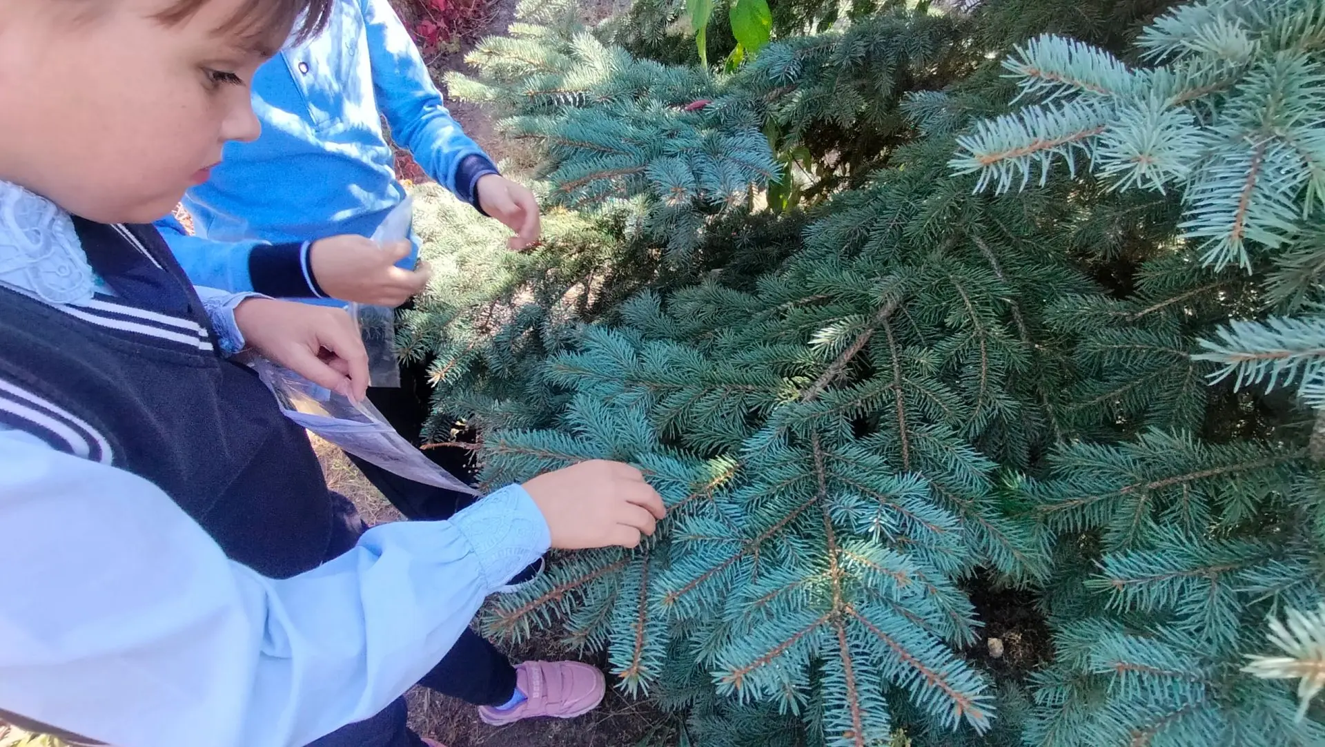 🌲Ребята из объединения «Занимательный английский» провели экологическое исследование п...