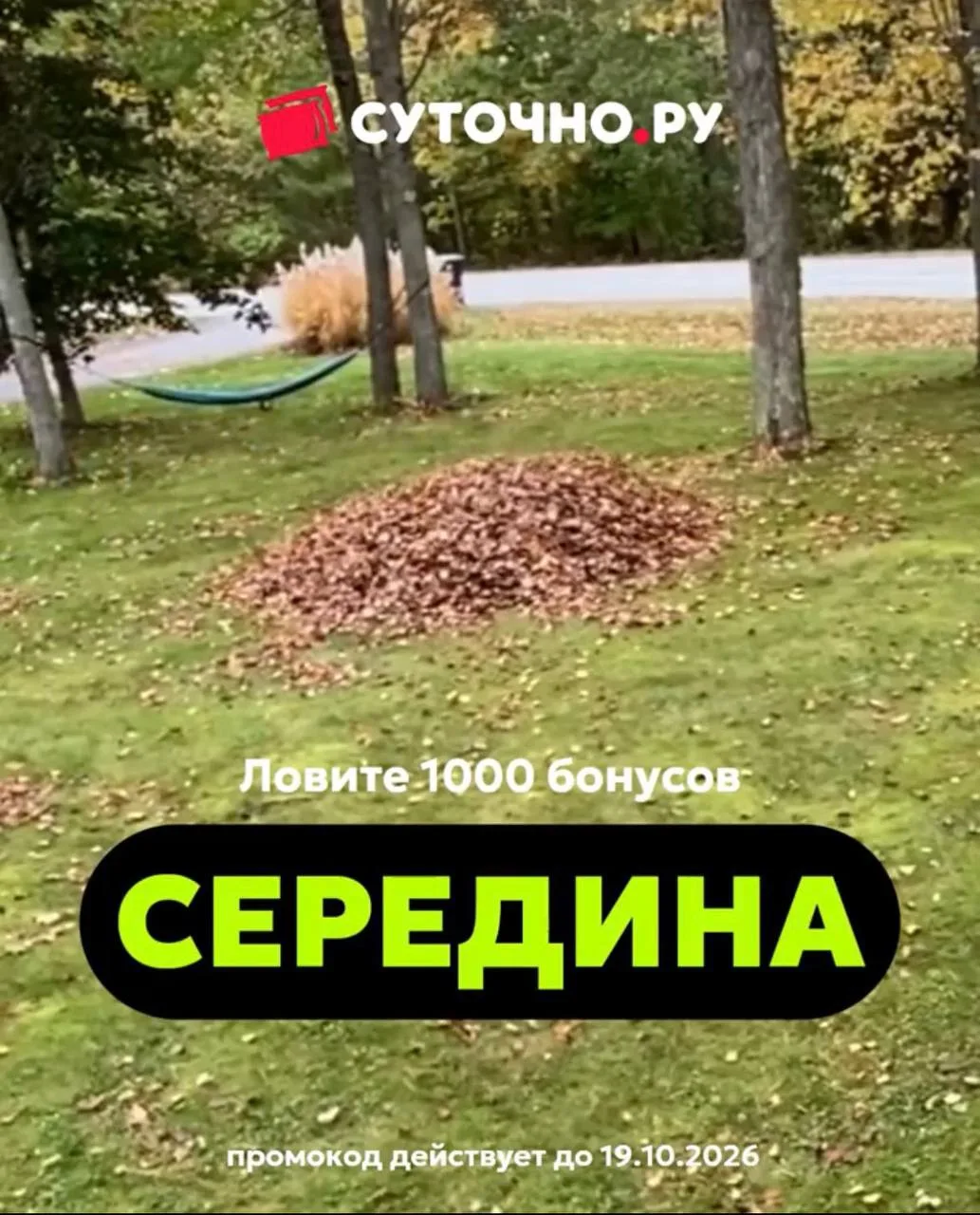 СУТОЧНО.РУ