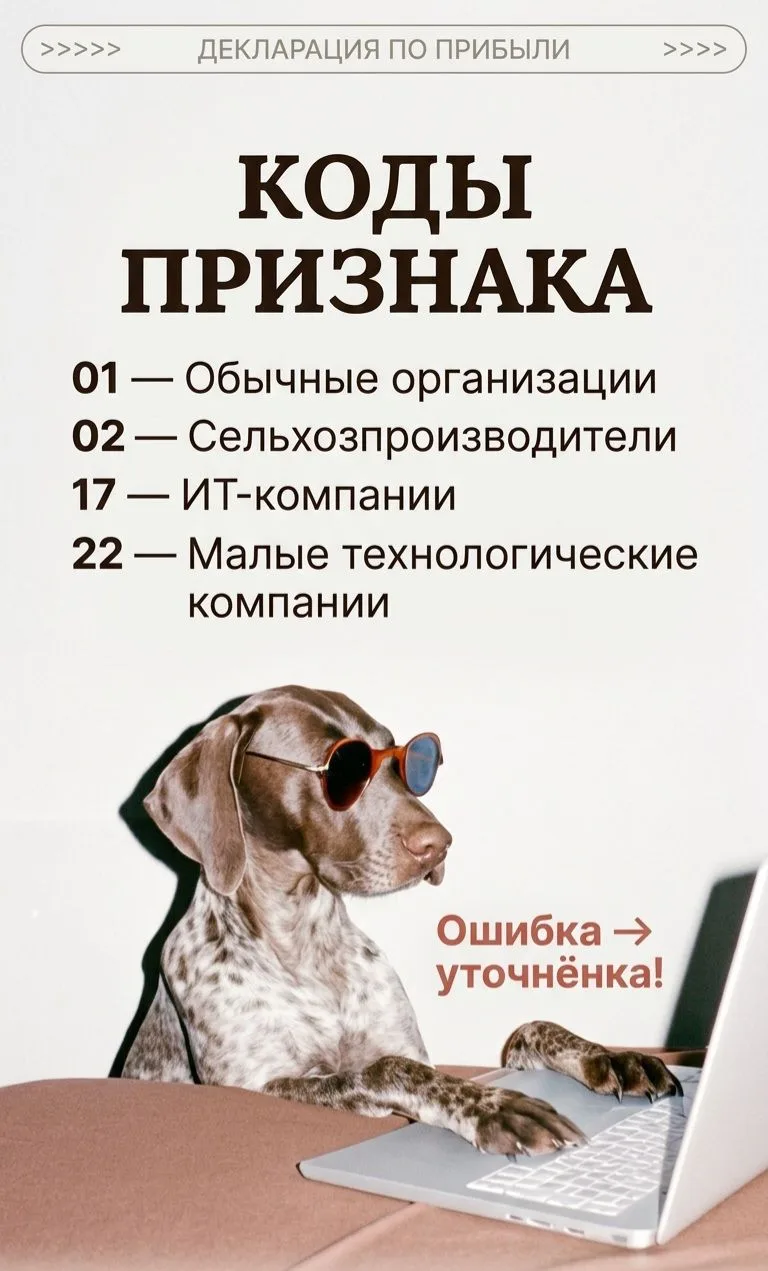 Ошибка в коде → льгота отразится неверно → придётся сдавать уточнёнку .